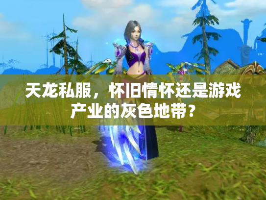 天龙私服，怀旧情怀还是游戏产业的灰色地带？