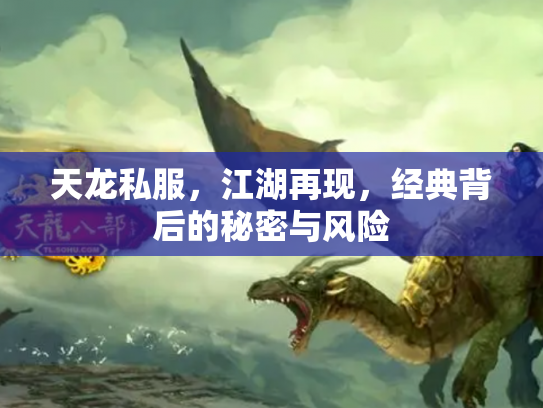 天龙私服，江湖再现，经典背后的秘密与风险