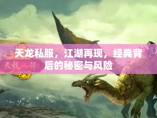天龙私服，江湖再现，经典背后的秘密与风险