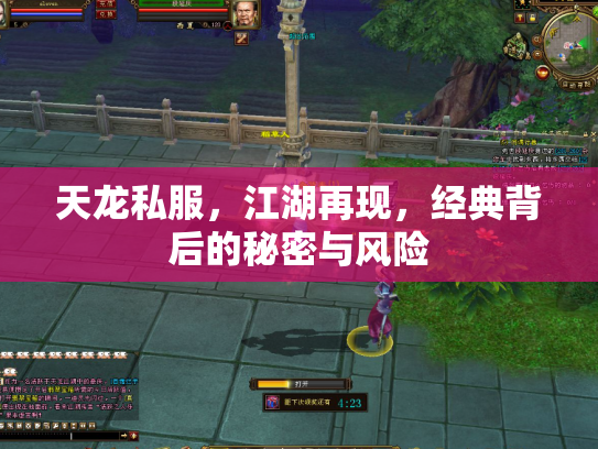 天龙私服，江湖再现，经典背后的秘密与风险