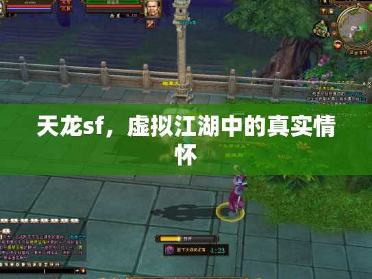 天龙sf，虚拟江湖中的真实情怀