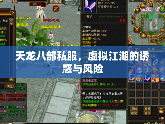 天龙八部私服，虚拟江湖的诱惑与风险