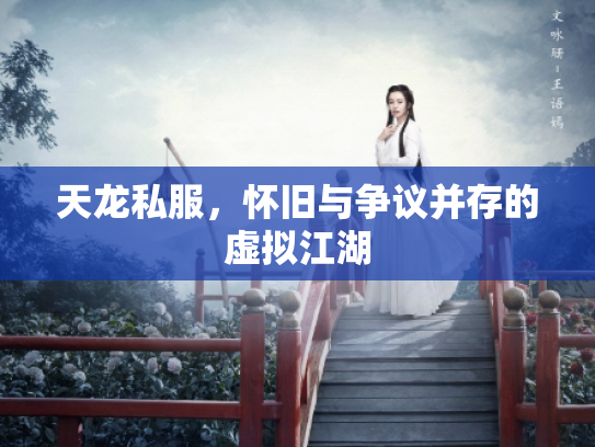 天龙私服，怀旧与争议并存的虚拟江湖