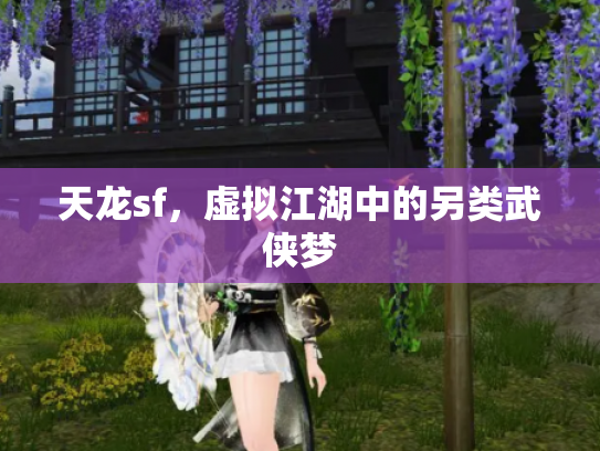天龙sf，虚拟江湖中的另类武侠梦