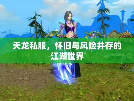 天龙私服，怀旧与风险并存的江湖世界
