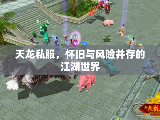 天龙私服，怀旧与风险并存的江湖世界