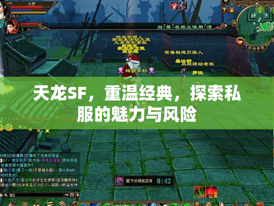 天龙SF，重温经典，探索私服的魅力与风险