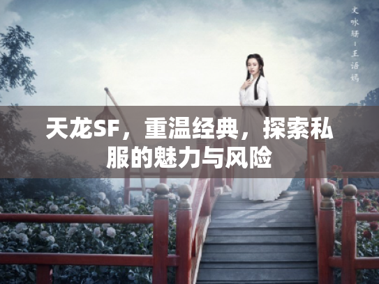 天龙SF，重温经典，探索私服的魅力与风险