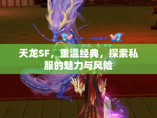 天龙SF，重温经典，探索私服的魅力与风险