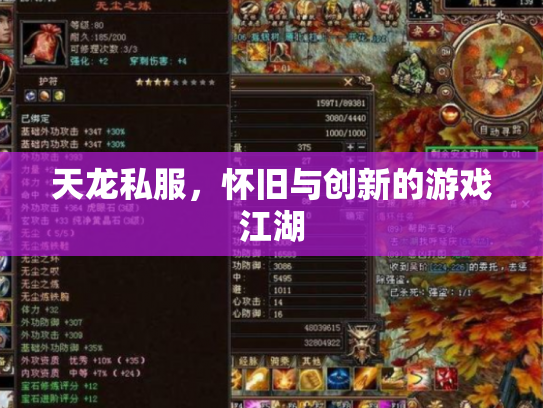 天龙私服，怀旧与创新的游戏江湖