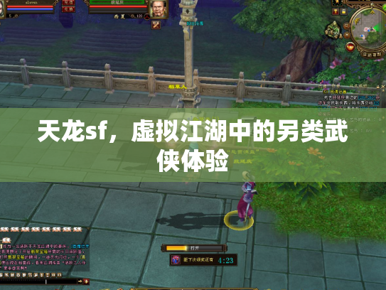 天龙sf，虚拟江湖中的另类武侠体验