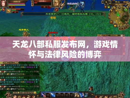 天龙八部私服发布网，游戏情怀与法律风险的博弈