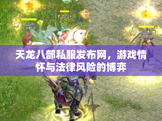 天龙八部私服发布网，游戏情怀与法律风险的博弈