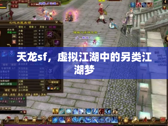 天龙sf，虚拟江湖中的另类江湖梦