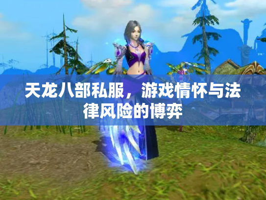 天龙八部私服，游戏情怀与法律风险的博弈