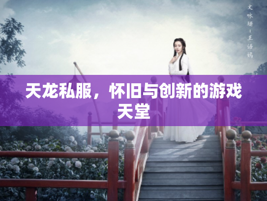 天龙私服，怀旧与创新的游戏天堂
