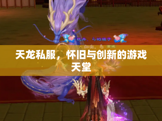 天龙私服，怀旧与创新的游戏天堂