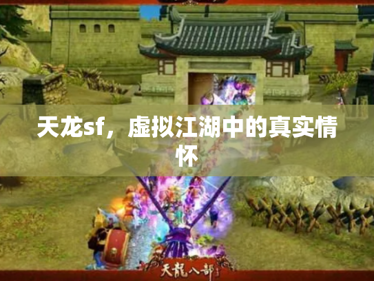天龙sf，虚拟江湖中的真实情怀