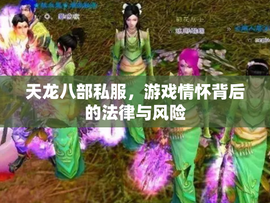 天龙八部私服，游戏情怀背后的法律与风险