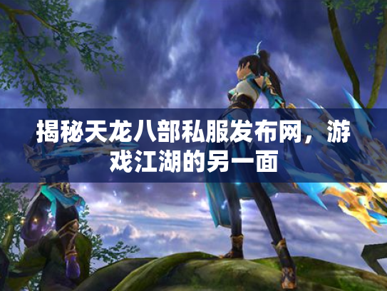 揭秘天龙八部私服发布网，游戏江湖的另一面