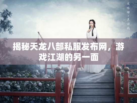 揭秘天龙八部私服发布网，游戏江湖的另一面