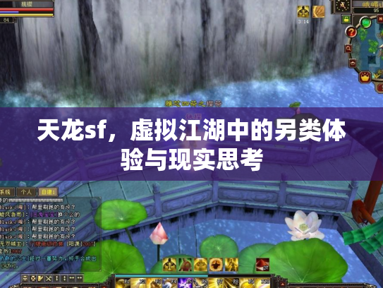 天龙sf，虚拟江湖中的另类体验与现实思考