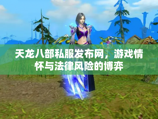 天龙八部私服发布网，游戏情怀与法律风险的博弈