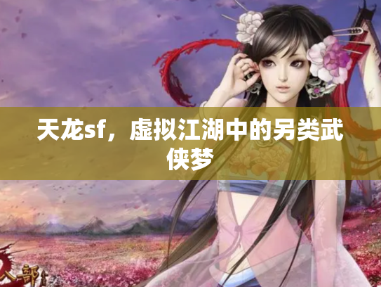 天龙sf，虚拟江湖中的另类武侠梦