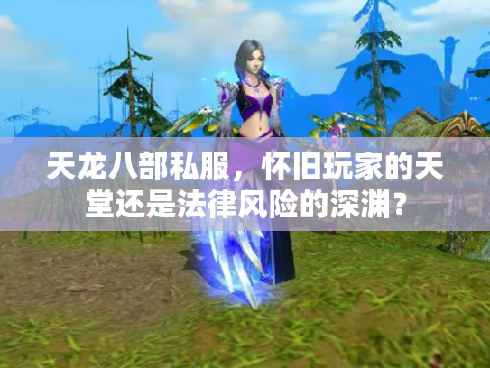 天龙八部私服，怀旧玩家的天堂还是法律风险的深渊？
