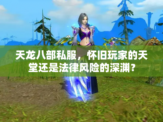 天龙八部私服，怀旧玩家的天堂还是法律风险的深渊？