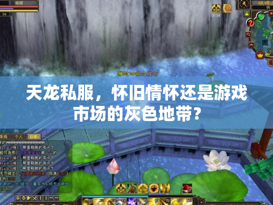 天龙私服，怀旧情怀还是游戏市场的灰色地带？