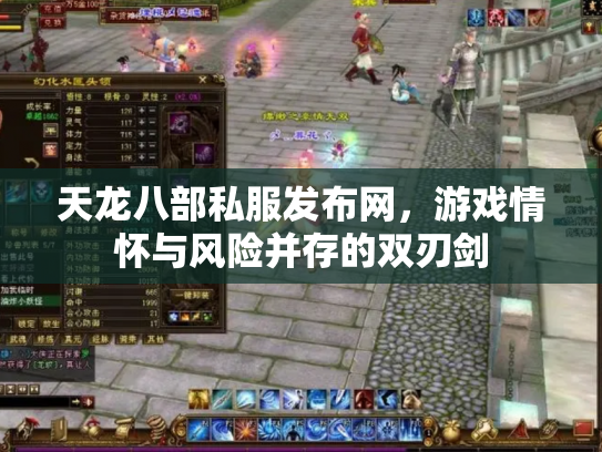 天龙八部私服发布网，游戏情怀与风险并存的双刃剑