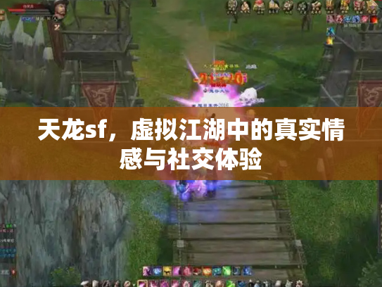 天龙sf，虚拟江湖中的真实情感与社交体验