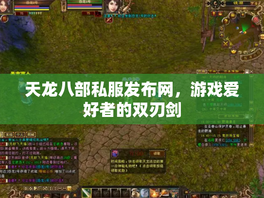 天龙八部私服发布网，游戏爱好者的双刃剑