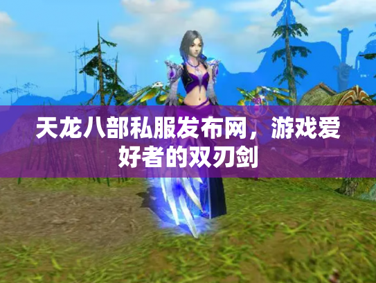天龙八部私服发布网，游戏爱好者的双刃剑