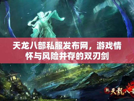 天龙八部私服发布网，游戏情怀与风险并存的双刃剑