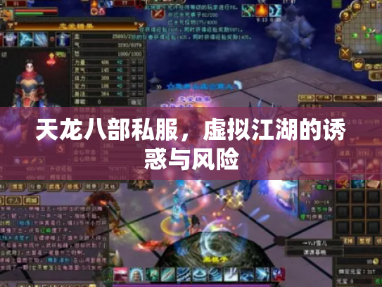 天龙八部私服，虚拟江湖的诱惑与风险