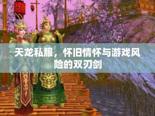 天龙私服，怀旧情怀与游戏风险的双刃剑