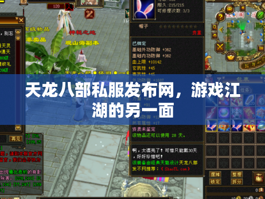 天龙八部私服发布网，游戏江湖的另一面