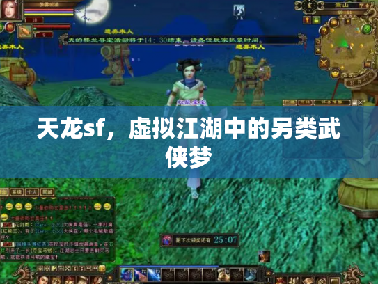 天龙sf，虚拟江湖中的另类武侠梦