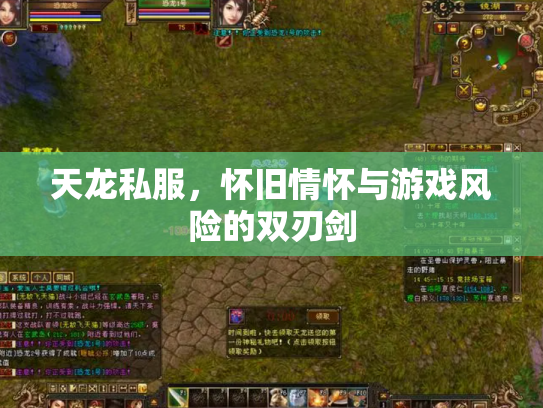 天龙私服，怀旧情怀与游戏风险的双刃剑