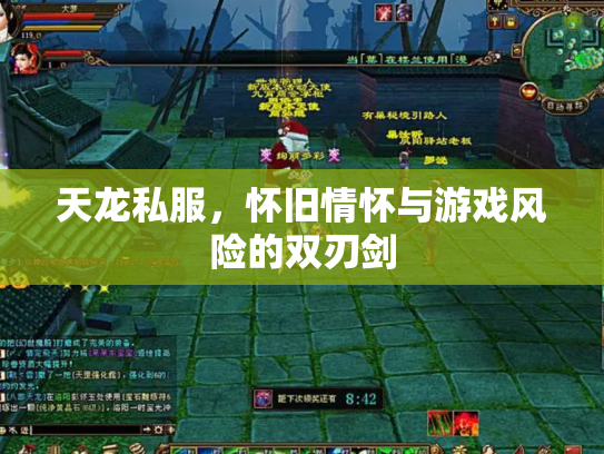 天龙私服，怀旧情怀与游戏风险的双刃剑