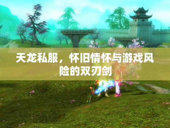 天龙私服，怀旧情怀与游戏风险的双刃剑