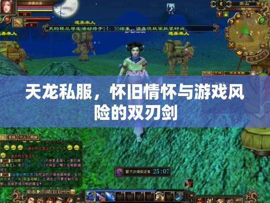 天龙私服，怀旧情怀与游戏风险的双刃剑