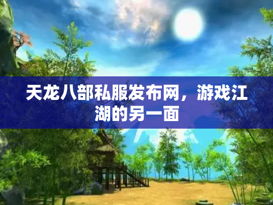 天龙八部私服发布网，游戏江湖的另一面