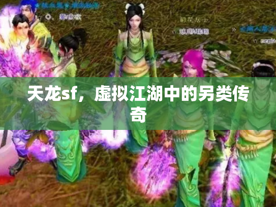 天龙sf，虚拟江湖中的另类传奇