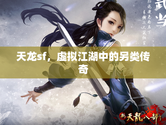 天龙sf，虚拟江湖中的另类传奇