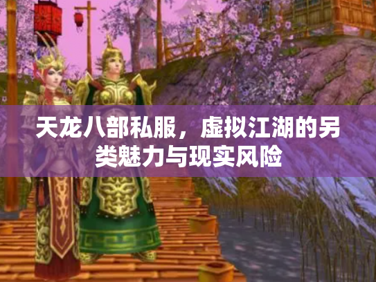 天龙八部私服，虚拟江湖的另类魅力与现实风险
