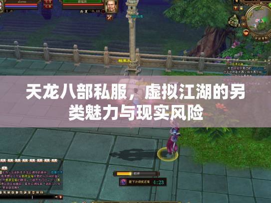 天龙八部私服，虚拟江湖的另类魅力与现实风险