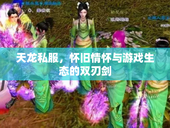 天龙私服，怀旧情怀与游戏生态的双刃剑
